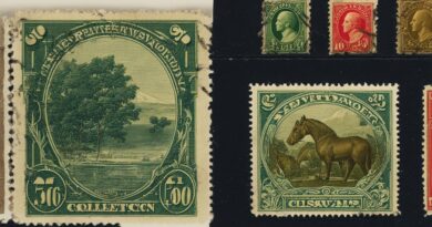 Archival Solutions: Long-Term Preservation of Your Stamp Collection