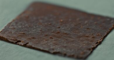 The Impact of Gum Condition on Stamp Grading