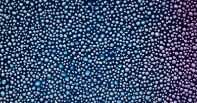 The Science Behind Stamp Adhesives: Composition and Properties
